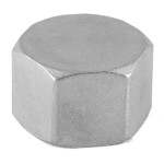 NPT Cap Hex  15Nb, Grade 304, 3000LB NPT Cap Hex  15Nb, Grade 304, 3000LB